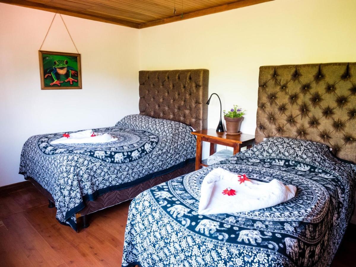 Luna Inn B&B Ciudad Cariari Eksteriør billede