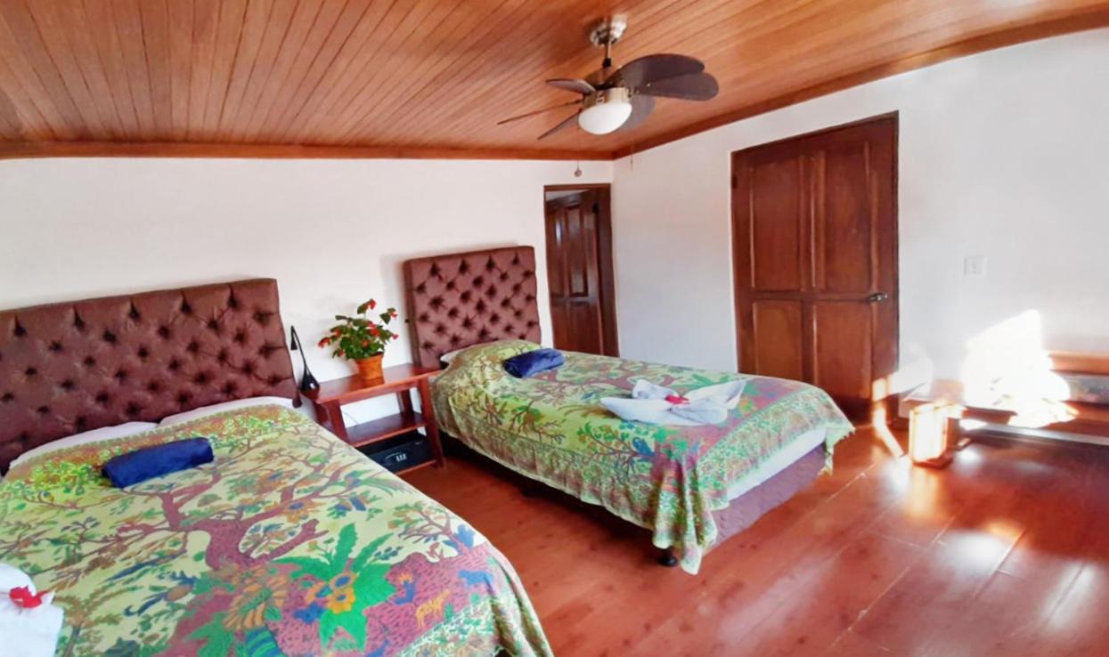 Luna Inn B&B Ciudad Cariari Eksteriør billede