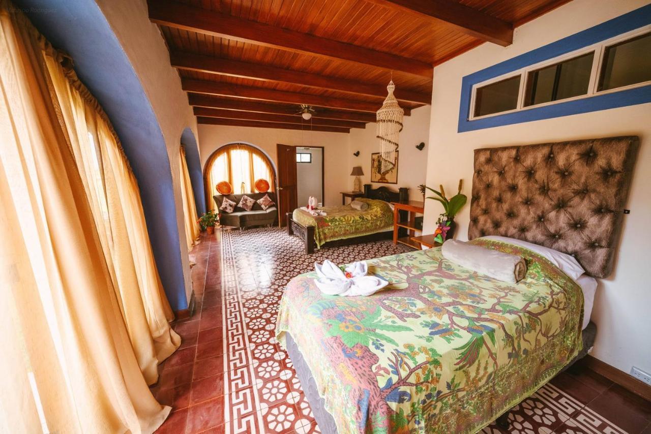 Luna Inn B&B Ciudad Cariari Eksteriør billede